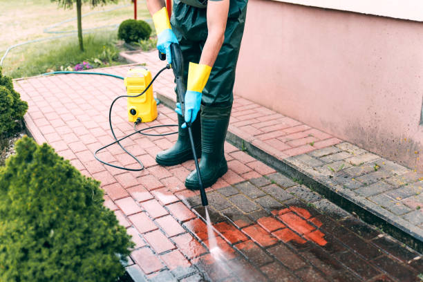 Best Fleet Vehicle Washing  in Forest, VA